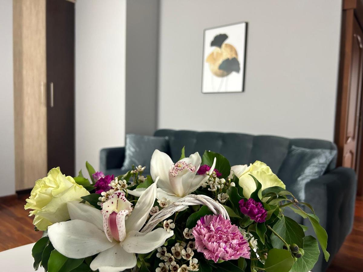 Mala Italia Apartments فروتسواف المظهر الخارجي الصورة